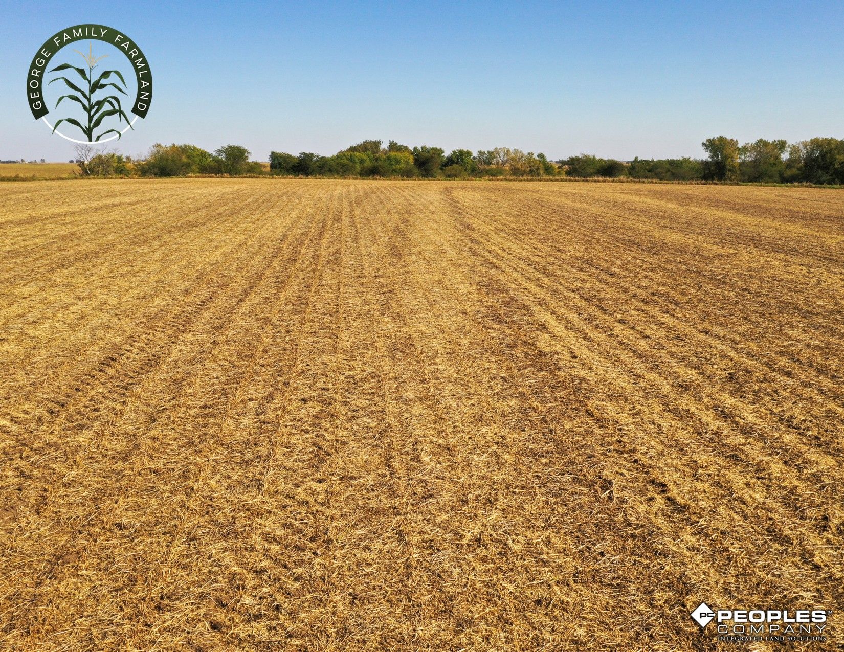 Listing Photo: Boone-County-Iowa-Farmland-Available-Near-Madrid-Iowa-18417 (15)